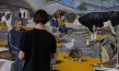 "The End of Meat - Eine Welt ohne Fleisch", Quelle: mindjazz pictures, DIF