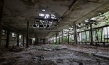 "The End of Meat - Eine Welt ohne Fleisch", Quelle: mindjazz pictures, DIF