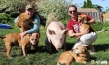 "The End of Meat - Eine Welt ohne Fleisch", Quelle: mindjazz pictures, DIF