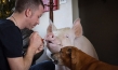 "The End of Meat - Eine Welt ohne Fleisch", Quelle: mindjazz pictures, DIF