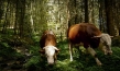 "The End of Meat - Eine Welt ohne Fleisch", Quelle: mindjazz pictures, DIF