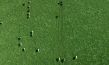 "Das System Milch", Quelle: Tiberius Film, DIF, © EIKON Media und MIRAMONTE FILM
