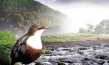 "Unsere Alb", Quelle: Marco Ruppert