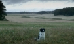 Lamento, Quelle: MissingFilms, DIF
