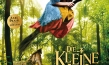 "Die kleine Hexe", Quelle: Studiocanal, DIF