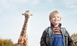 "Mein Freund, die Giraffe", Quelle: Little Dream Entertainment, DIF