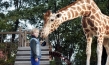 "Mein Freund, die Giraffe", Quelle: Little Dream Entertainment, DIF