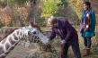 "Mein Freund, die Giraffe", Quelle: Little Dream Entertainment, DIF