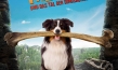 "Fünf Freunde und das Tal der Dinosaurier", Quelle: Constantin Film Verleih, DIF, © 2017 Constantin Film Verleih GmbH