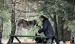 "Citizen Animal – Eine kleine Familie reist zu den Tieren", Quelle: JIP Film und Verleih, DIF, © JIP Film und Verleih, Foto: Tatjana Kühr