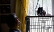 "Citizen Animal – Eine kleine Familie reist zu den Tieren", Quelle: JIP Film und Verleih, DIF, © JIP Film und Verleih, Foto: Tatjana Kühr