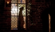 "Citizen Animal – Eine kleine Familie reist zu den Tieren", Quelle: JIP Film und Verleih, DIF, © JIP Film und Verleih, Foto: Tatjana Kühr