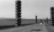 "Grain", Quelle: Piffl Medien, DIF © Kaplan Film