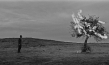 "Grain", Quelle: Piffl Medien, DIF © Kaplan Film