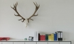 "Auf der Jagd - Wem gehört die Natur?", © Broadview Pictures