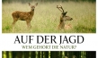 "Auf der Jagd - Wem gehört die Natur?", Quelle: NFP Marketing & Distribution, DIF