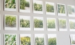"Am Ende ist man tot", Quelle: Barnsteiner Film, DIF, Foto: Franca Wrage