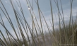 "Sandmädchen", Quelle: Worklights Media Production, DIF, © Mark Michel, Worklights Media Production
