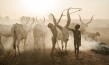 "An den Rändern der Welt", Quelle: Filmtank Audience, DIF, © Greenpeace, Markus Mauthe