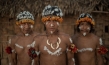 "An den Rändern der Welt", Quelle: Filmtank Audience, DIF, © Greenpeace, Markus Mauthe