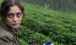 "Sibel", Quelle: Arsenal Filmverleih, DIF