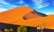 "Namibia", Quelle: imFilm Agentur + Verleih, DIF, © 2009 Michael Scharl
