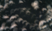 "Umbra", Quelle: 69. Internationale Filmfestspiele Berlin (Katalog)