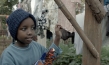 "Supa Modo", Quelle: Sächsischer Kinder- und Jugendfilmdienst e.V., DIF, © One Fine Day Films