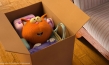 "Die sagenhaften Vier", Quelle: Universum Film, DIF, © Scopas Medien AG, Grid Animation