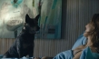 "Los Perros", Quelle: Cine Global Filmverleih, DIF, © Cinema Defacto, Jirafa Films, Rei Cine, Terratreme Filmes, augenschein Filmproduktion