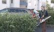 "Under the Tree", Quelle: Farbfilm Verleih, DIF, © Netop Films