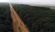 "Die Rote Linie - Widerstand im Hambacher Forst", Quelle: mindjazz pictures, DIF