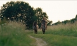 "Magie der Wildpferde", Quelle: Koryphäen Film, DIF, © catamaranfilms