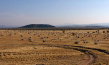 "Barstow, California" (2018); Quelle: JIP Film und Verleih, DFF