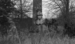 "Heimat ist ein Raum aus Zeit" (2019); Quelle: GMfilms, DFF, © ma.ja.de. filmproduktions GmbH