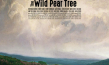 Filmplakat von "The Wild Pear Tree" (2018)