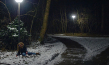 "Regeln am Band, bei hoher Geschwindigkeit" (2019); Quelle: JIP Film und Verleih, DFF, © JIP Film