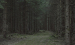 "Höllental" [5. Die Spuren] (2020)