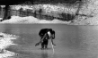 "Blastogenese X" (2020); Quelle: 71. Internationale Filmfestspiele Berlin (Katalog), © Veit, Kätzl