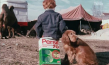 Screenshot aus "PERSIL 70 'Junge und Hund'" (19??); Quelle: DFF