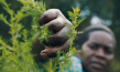 "Das Fieber - Der Kampf gegen Malaria" (2019); Quelle: W-film, DFF, © W-film, pooldoks