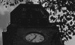 Screenshot aus "Filmtagebuch 1936" (1936); Quelle: SLUB Dresden, © SLUB Dresden, Filmverband Sachsen (Dresden), Hirsch Film (Dresden)
