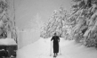 Screenshot aus "Privatfilm Familie Richter: Rolle 1" (1938); Quelle: SLUB Dresden, © SLUB Dresden, Filmverband Sachsen (Dresden), Hirsch Film (Dresden)