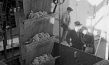 Screenshot aus "Privatfilm Familie Richter: Rolle 4" (1935); Quelle: SLUB Dresden, © SLUB Dresden, Filmverband Sachsen (Dresden), Hirsch Film (Dresden)