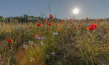 "Heimat Natur" (2020); Quelle: polyband Medien, DFF, © nautilusfilm, polyband Medien GmbH, Sailer Images