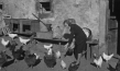 Screenshot aus "Privatfilm Erich Krah" (1936?); Quelle: SLUB Dresden, © SLUB Dresden, Filmverband Sachsen (Dresden), Hirsch Film (Dresden)