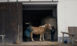 "Lost in Face" (2019); Quelle: Cine Global Filmverleih, DFF