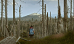 Bastian Kalous in "Der wilde Wald - Natur Natur sein lassen" (2021); Quelle: mindjazz pictures, DFF