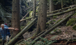 Bastian Kalous in "Der wilde Wald - Natur Natur sein lassen" (2021); Quelle: mindjazz pictures, DFF