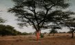 Ablaye Cissoko in "Der Waldmacher" (2021), Quelle: Weltkino Filmverleih, DFF, © Jean Diouf